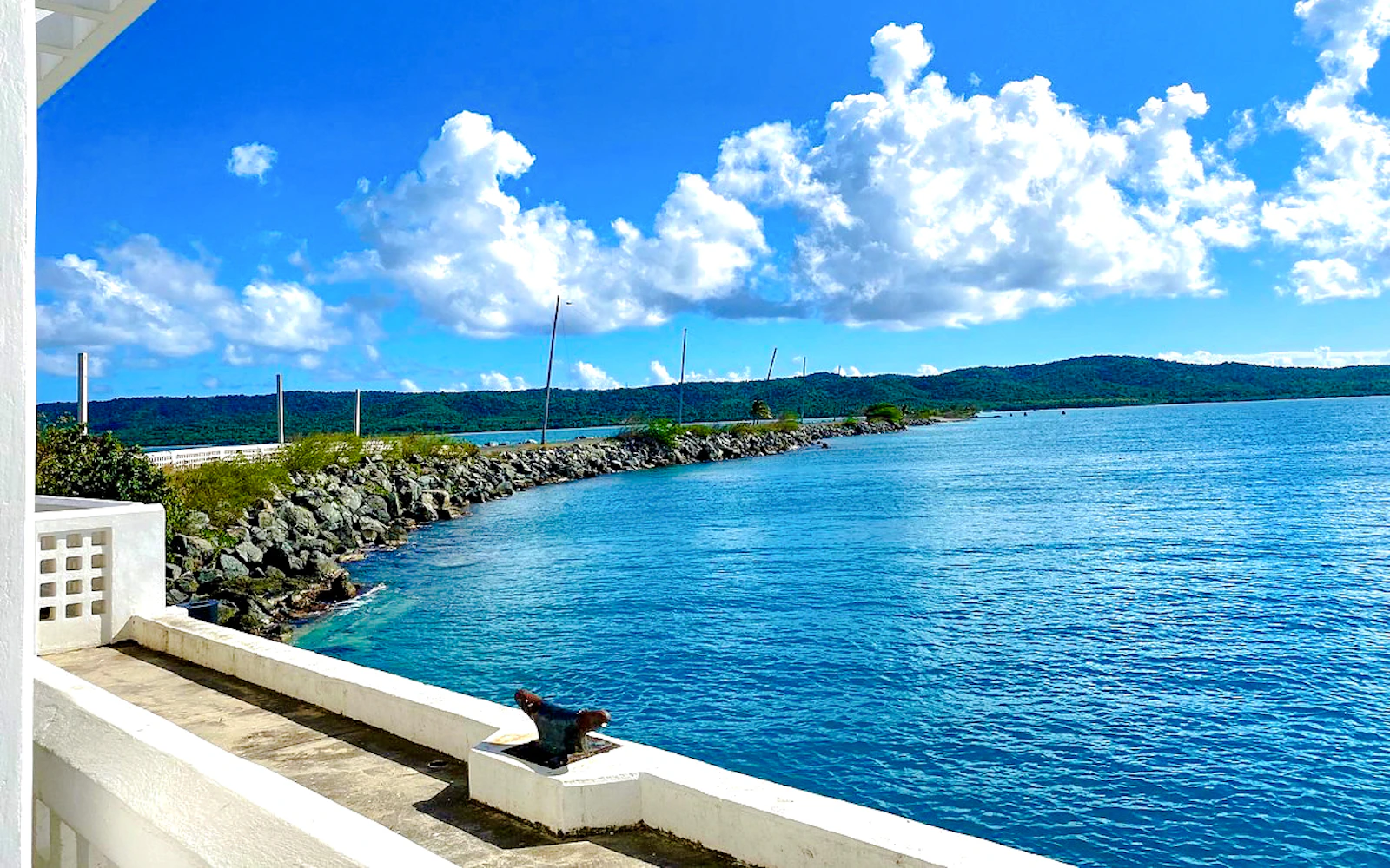 Vieques Guided Snorkeling Tour at Punta Arenas and Mosquito Pier Image 3