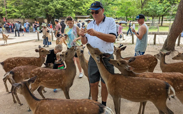 Nara Private Family E-Bike Tour with Lunch and Child Seats Included