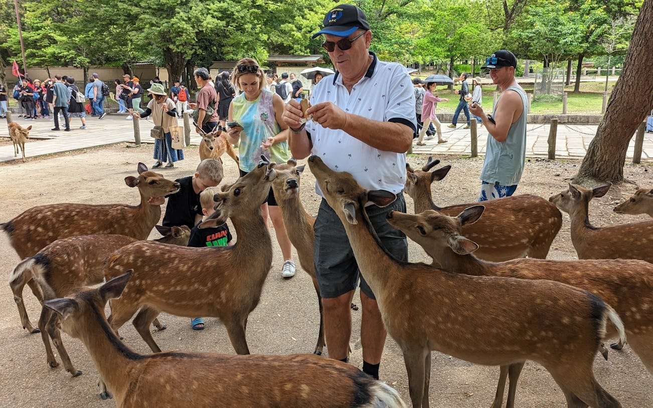privétour per e-bike voor gezinnen in nara, inclusief lunch en kinderzitjes-1