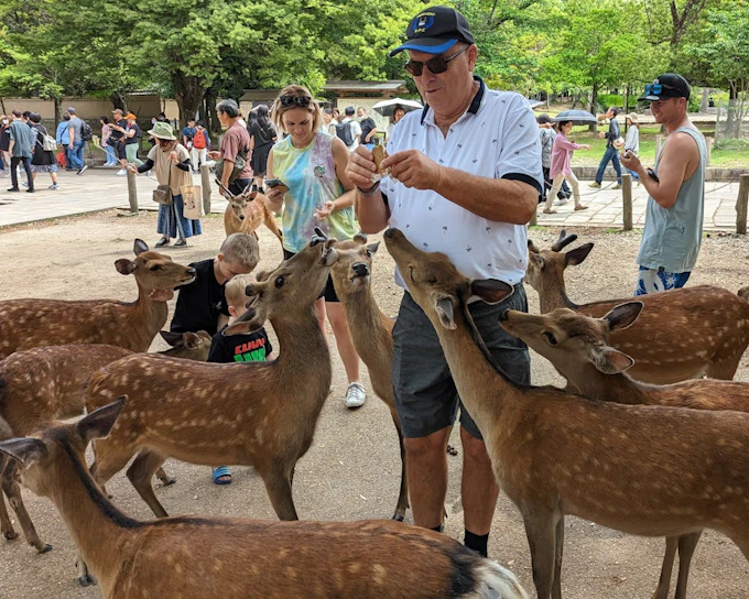 Nara Private Family E-Bike Tour with Lunch and Child Seats Included