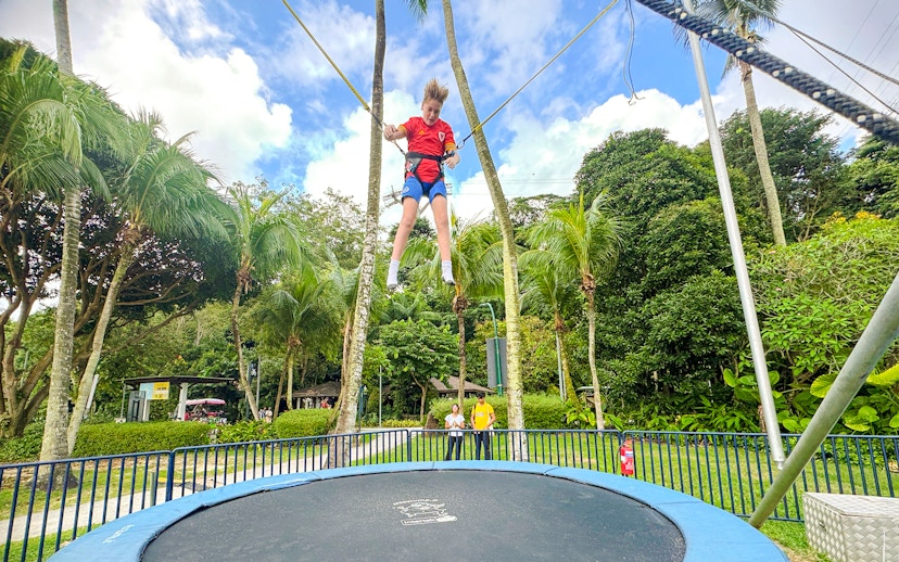 Child bouncing on a trampoline at Mega Adventure Park, Singapore, surrounded by palm trees.
