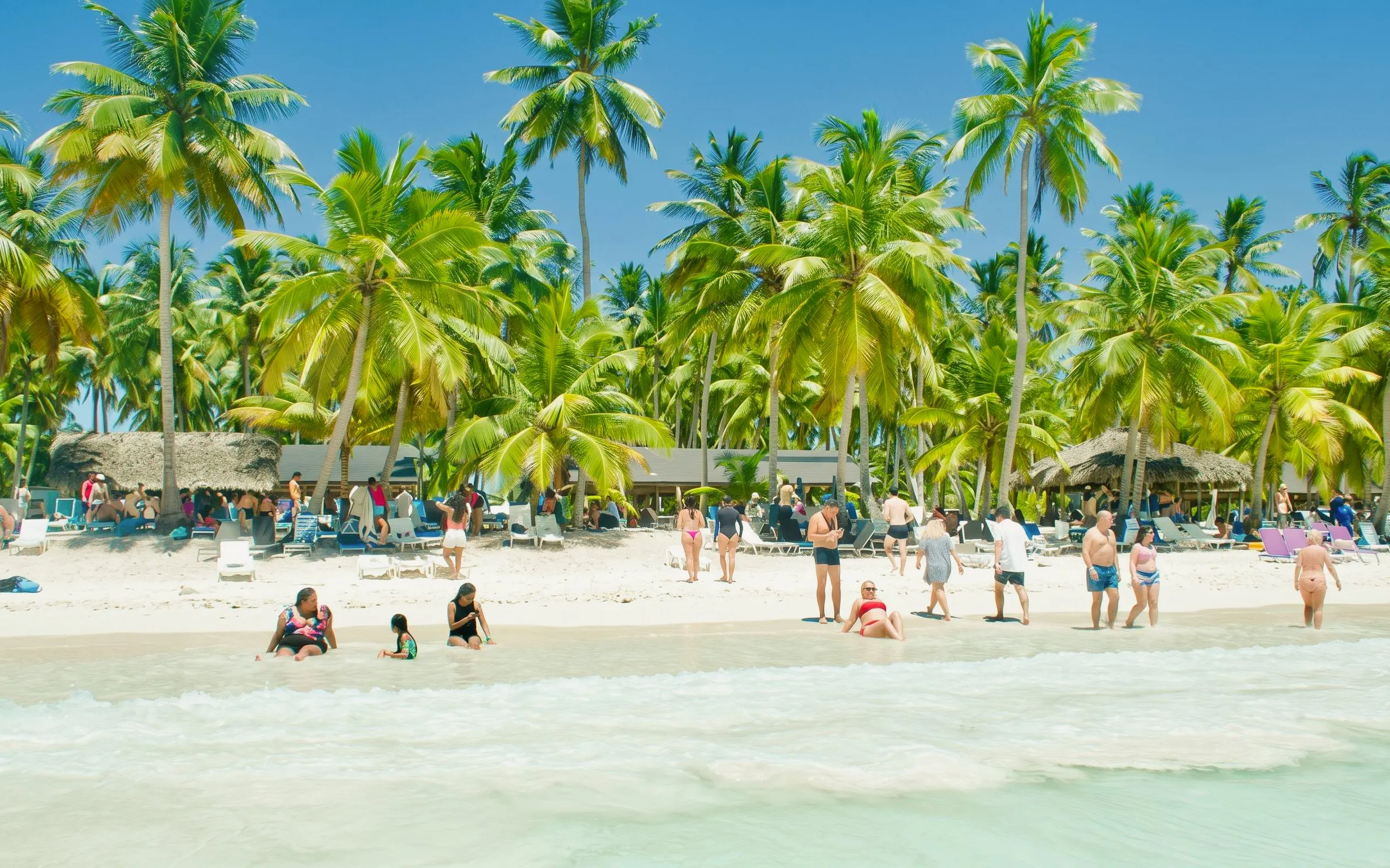 Beachgoers relax on Saona Island's sandy shore with palm trees in Punta Cana.