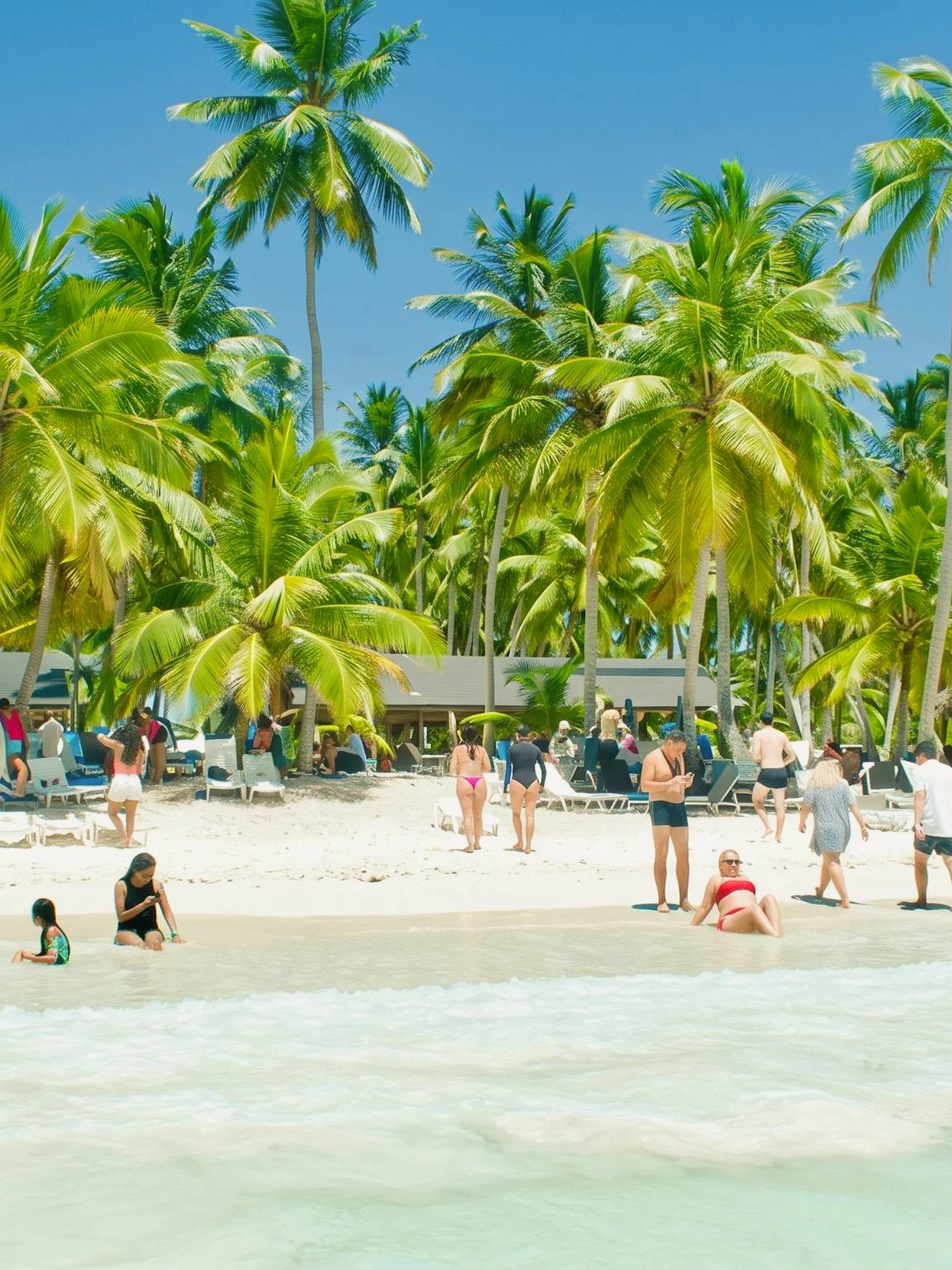 Beachgoers relax on Saona Island's sandy shore with palm trees in Punta Cana.