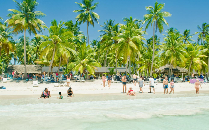 Beachgoers relax on Saona Island's sandy shore with palm trees in Punta Cana.