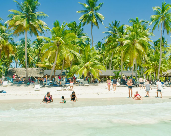 From Punta Cana: Saona Island All-Inclusive Catamaran Day Trip with Buffet & Transfers