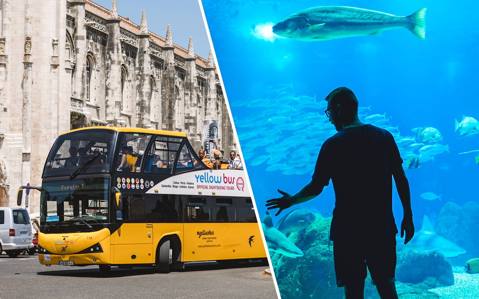 Combo: Lisbon Hop-On Hop-Off Bus Tour + Lisbon Oceanarium Tickets