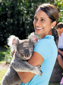 Person holding a koala at a wildlife sanctuary in Brisbane.