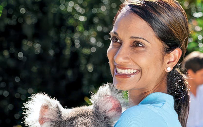 Person holding a koala at a wildlife sanctuary in Brisbane.