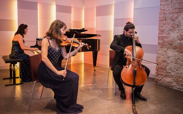 Musicians performing with violin, cello, and piano at Mozarthaus concert in Vienna.