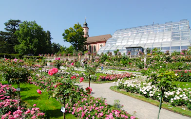 Mainau Flower Island garden with vibrant roses and a historic chapel in the background.