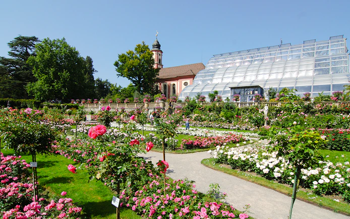 Mainau Flower Island garden with vibrant roses and a historic chapel in the background.