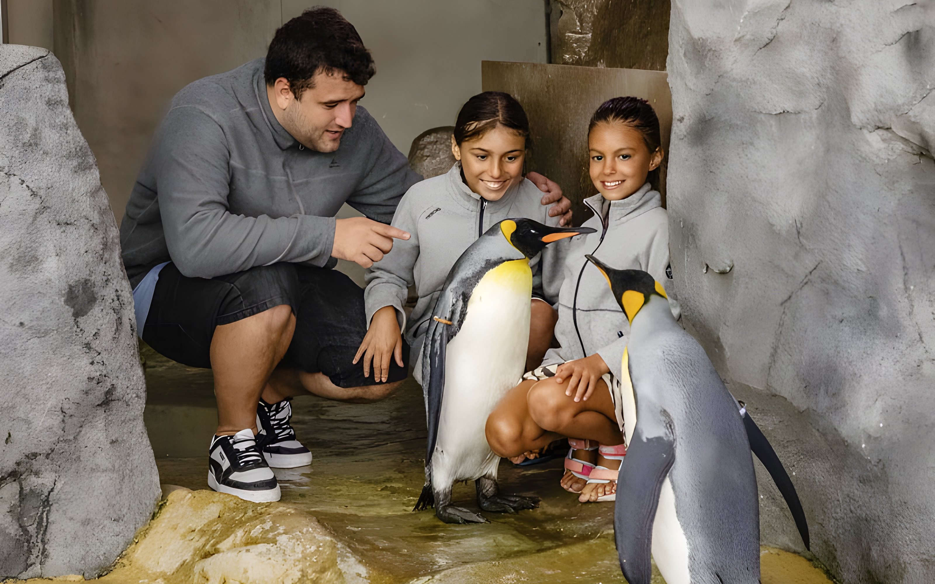 Visitors interacting with penguins during the Penguin Encounter at Selwo Marina.