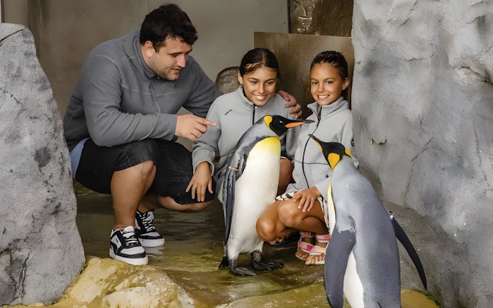 Visitors interacting with penguins during the Penguin Encounter at Selwo Marina.