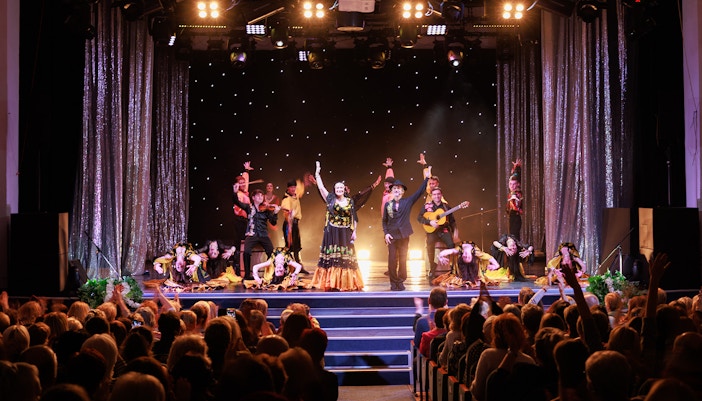 Live Entertainment in Vienna - Musicals and Plays