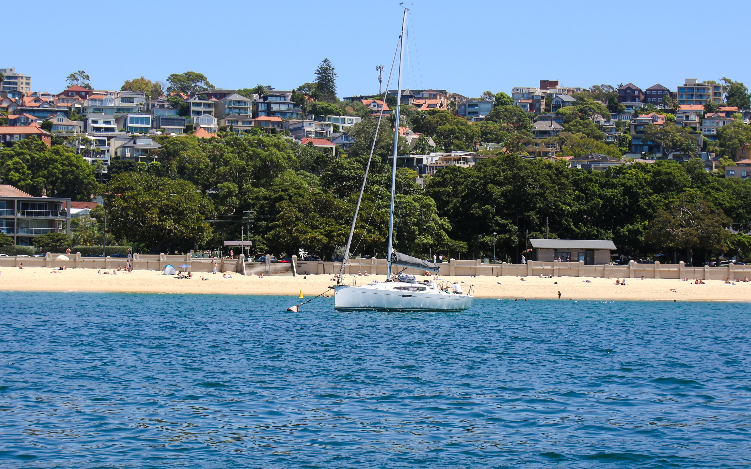 Sailboat anchored near Balmoral Beach, Sydney, with coastal homes in the background.