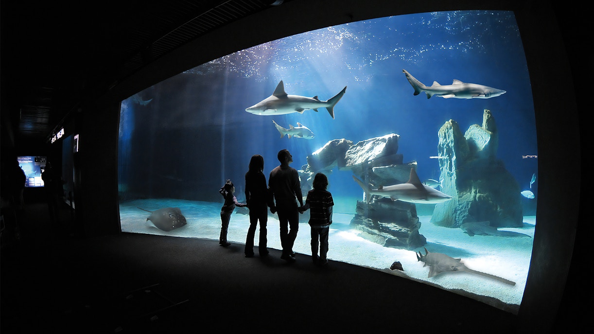Visitors exploring marine life exhibits at Genoa Aquarium, Italy.
