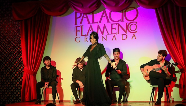 Flamenco dancer performing at Palacio de los Olvidados in Granada with musicians.