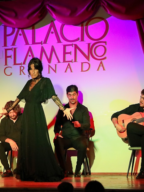 Flamenco dancer performing at Palacio de los Olvidados in Granada with musicians.