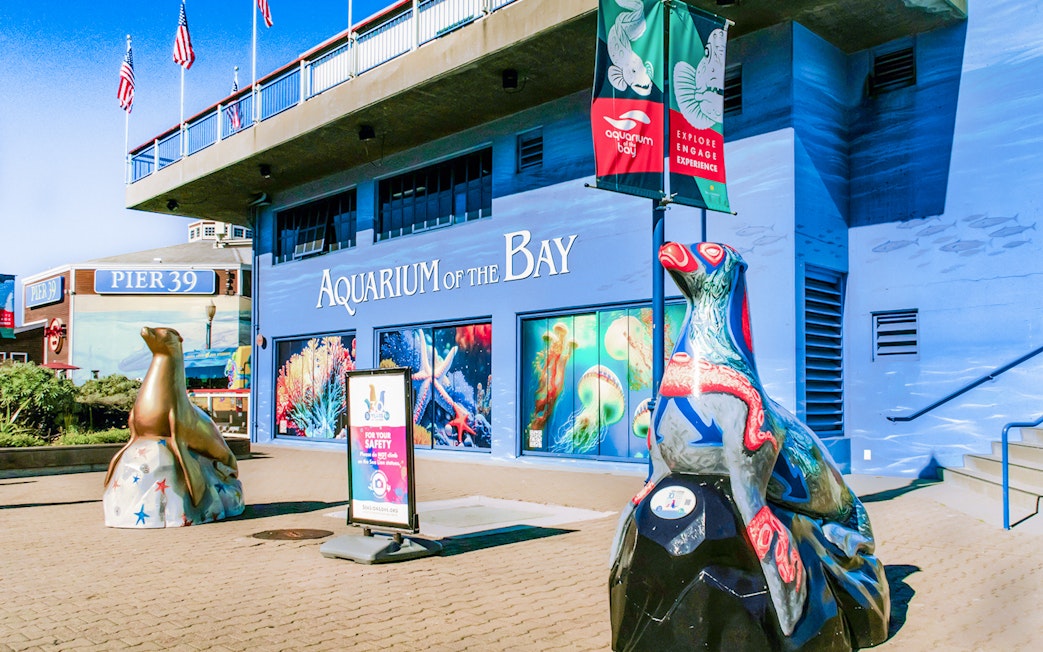 Aquarium of the Bay entrance with sea life murals and sculptures, San Francisco, California.