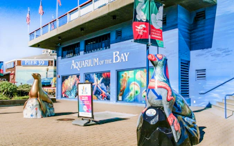 Aquarium of the Bay entrance with sea life murals and sculptures, San Francisco, California.