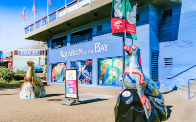 Aquarium of the Bay entrance with sea life murals and sculptures, San Francisco, California.