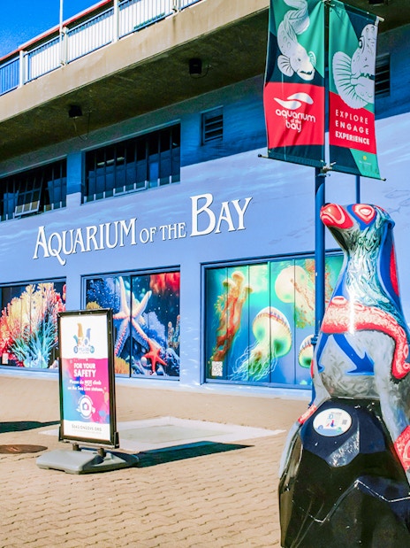 Aquarium of the Bay entrance with sea life murals and sculptures, San Francisco, California.