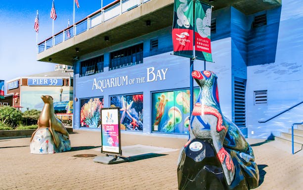 Aquarium of the Bay entrance with sea life murals and sculptures, San Francisco, California.