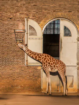 London Zoo
