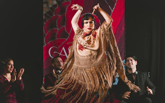 Flamenco dancer performing at Casa Ana with musicians in the background.