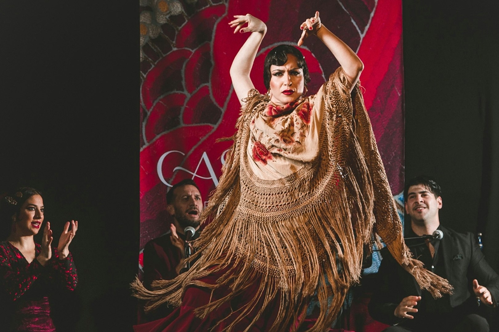 Flamenco dancer performing at Casa Ana with musicians in the background.