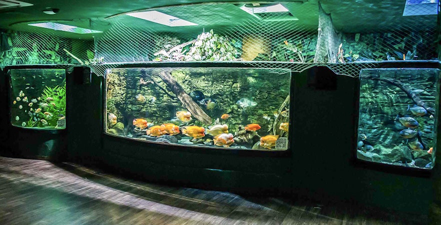 Tropicarium Budapest