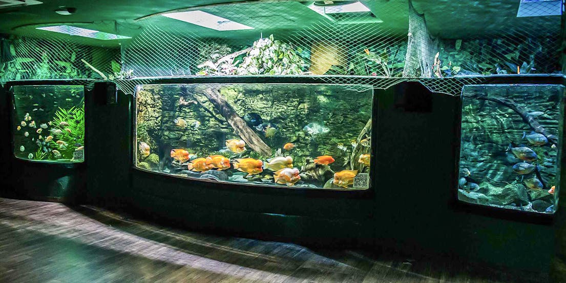 Tropicarium Budapest
