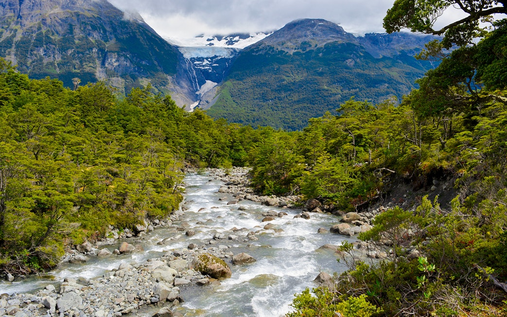 Water stream flowing through forested mountains at Mayo Spirit Trek, Los Glaciares National Park, Patagonia.