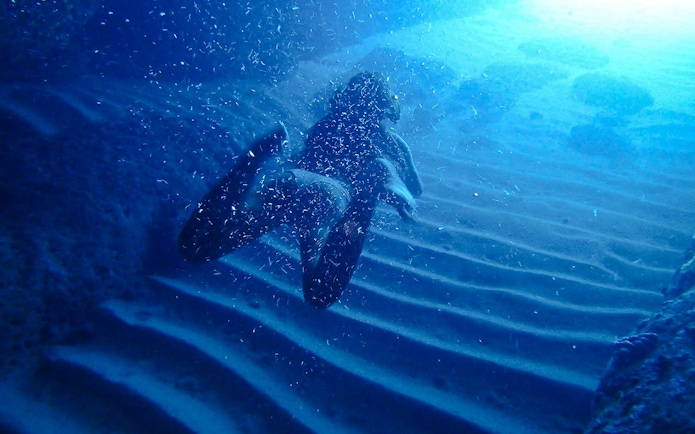 Diver exploring underwater Blue Cave, Koločep, Dubrovnik, Croatia.