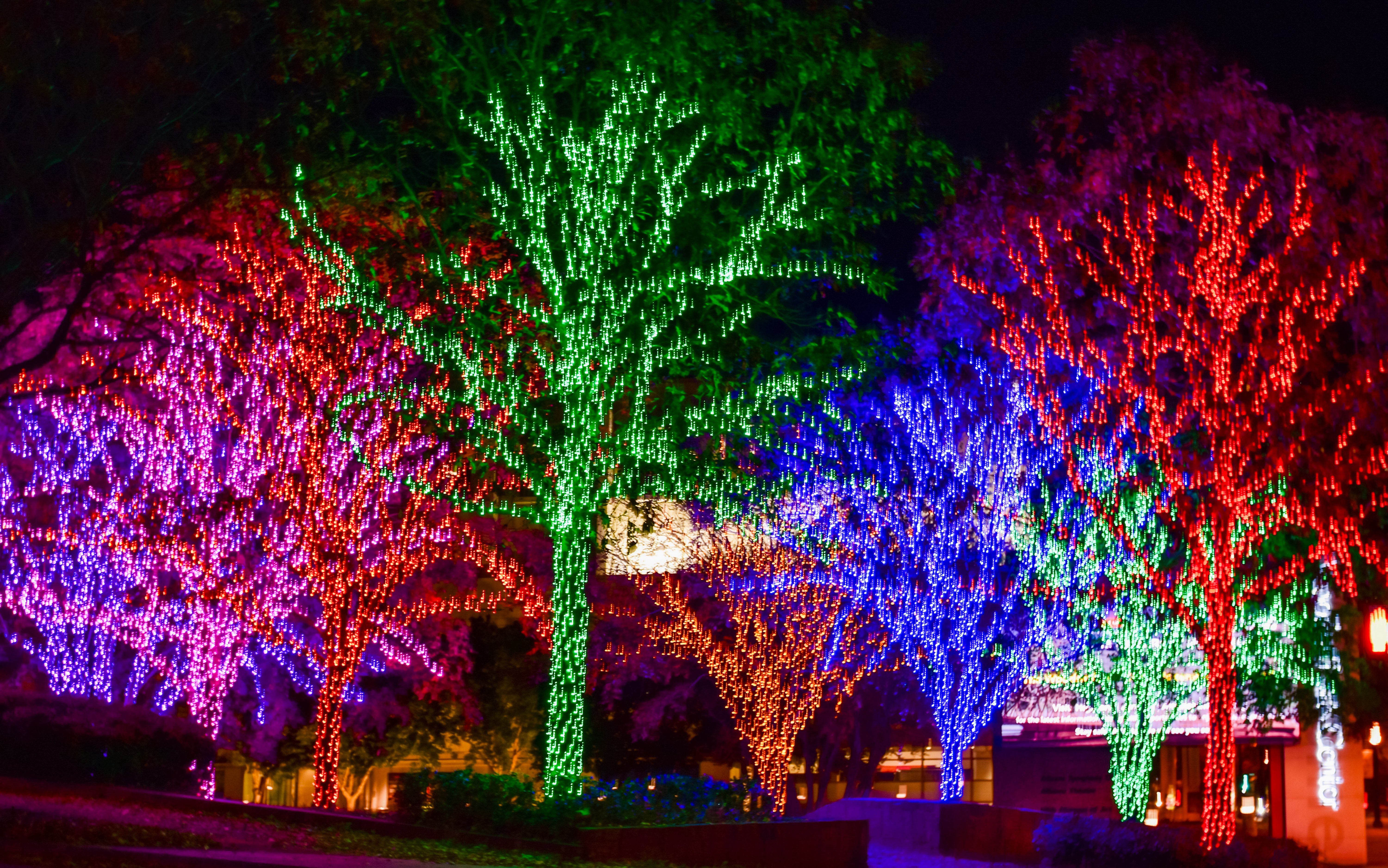 Colorful holiday lights on trees in Atlanta during New Year celebrations.