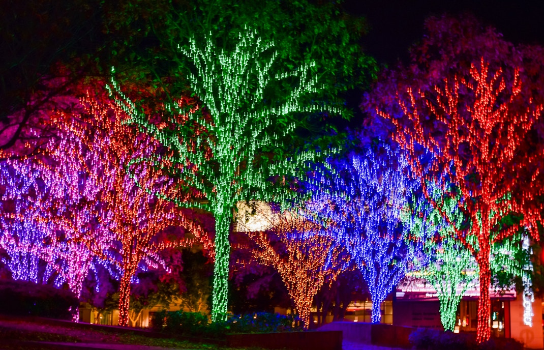 Colorful holiday lights on trees in Atlanta during New Year celebrations.