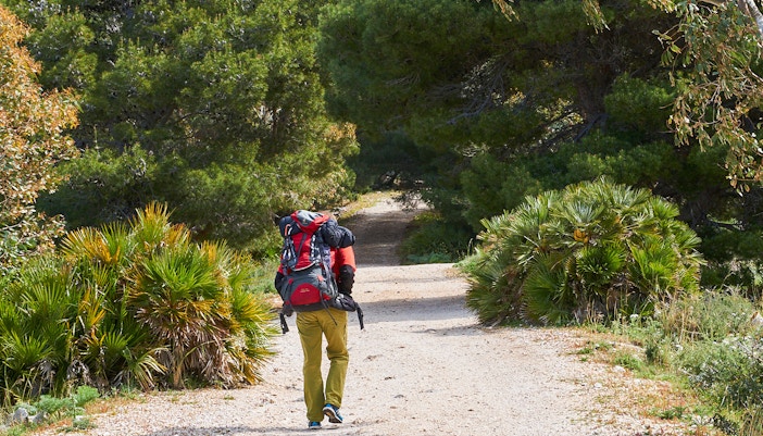 Things to do in Gold Coast