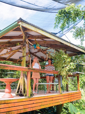 Visitors observing colorful birds at Birdworld Kuranda, Cairns.