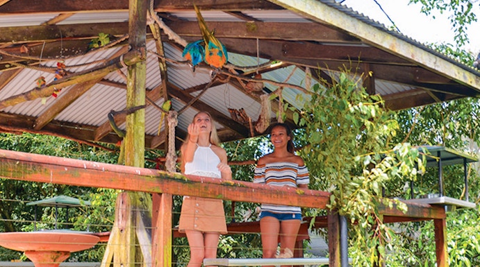 Visitors observing colorful birds at Birdworld Kuranda, Cairns.