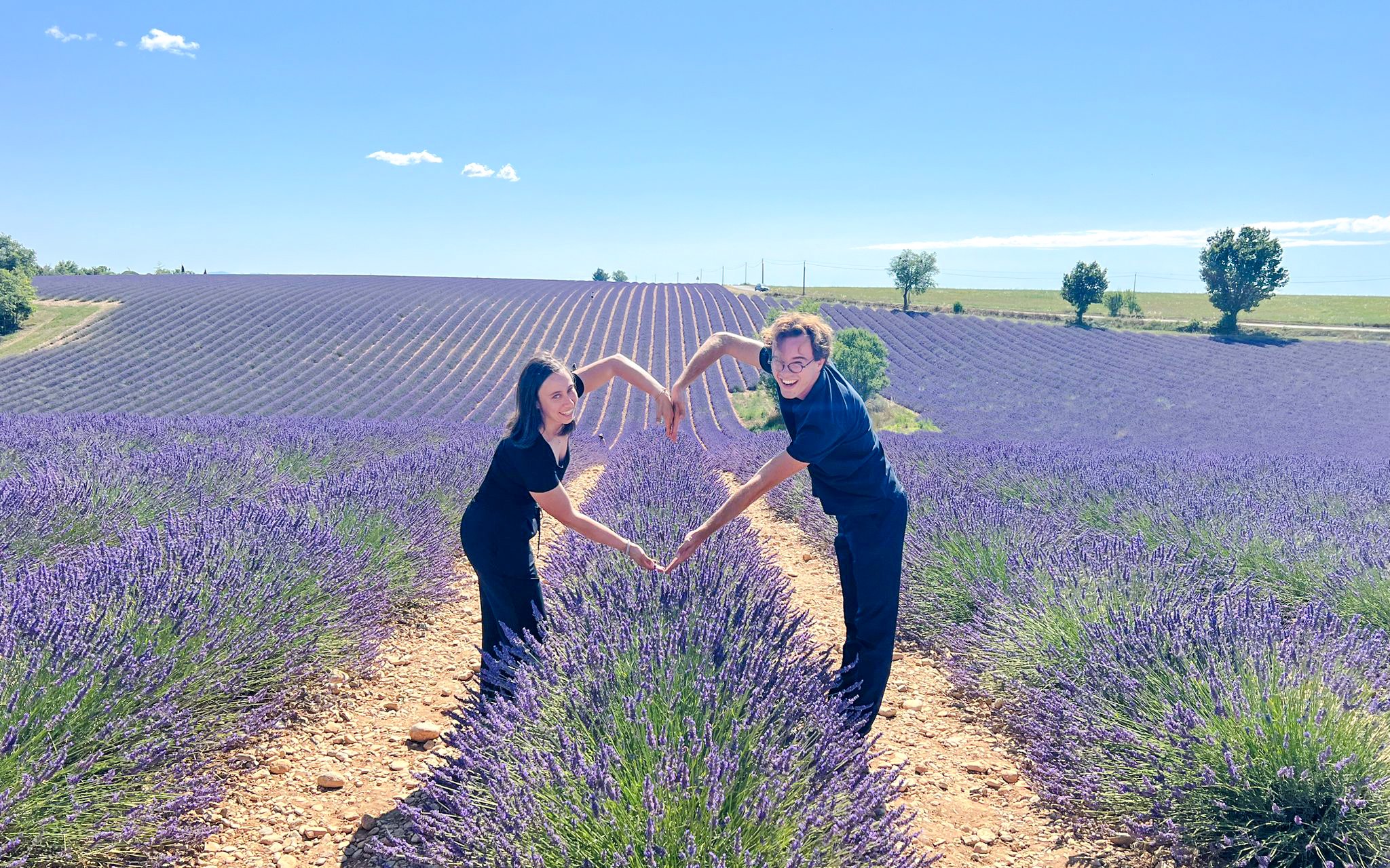 Couple forming heart shape in lavender fields, Valensole, Provence.