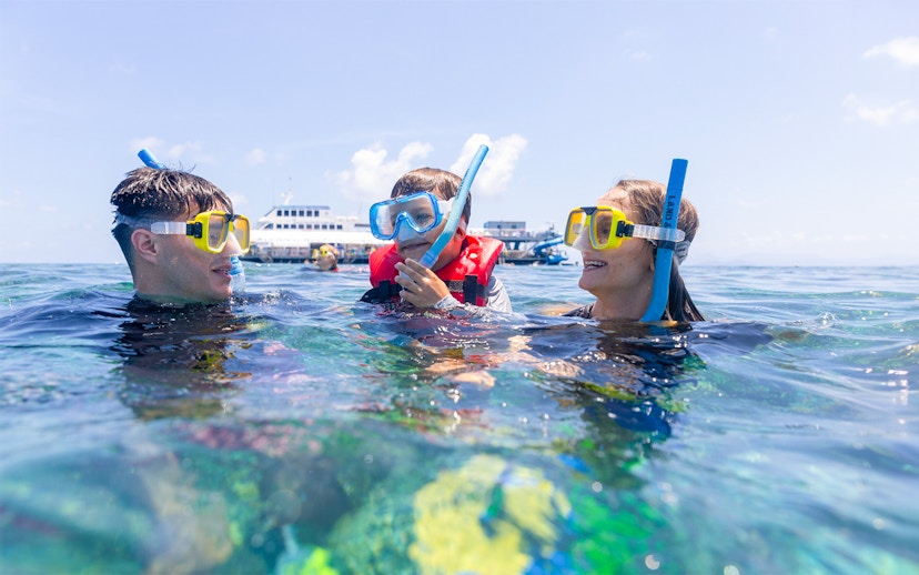 Family snorkeling at Moore Reef with Sunlover Cruises, Great Barrier Reef.