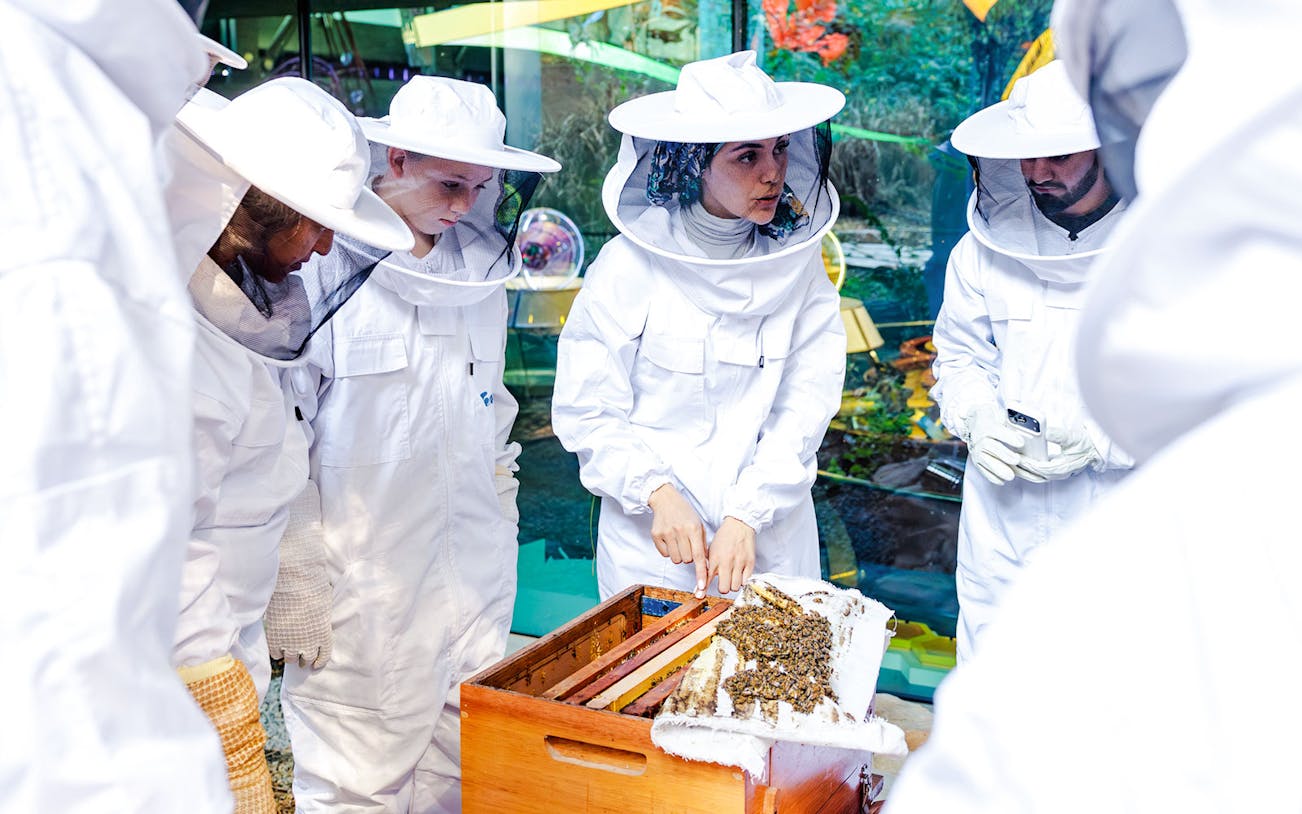 Guide explaining beehive to group at beekeeping experience.