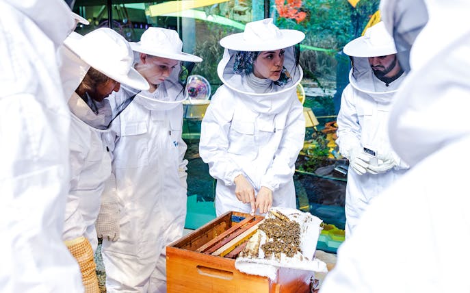 Guide explaining beehive to group at beekeeping experience.