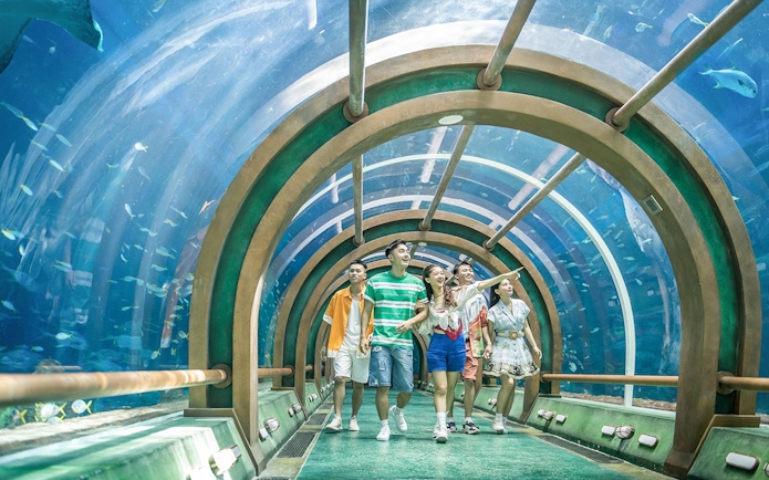 Guests walking through underwater tunnel at Aquarum, VinWonders Phu Quoc.