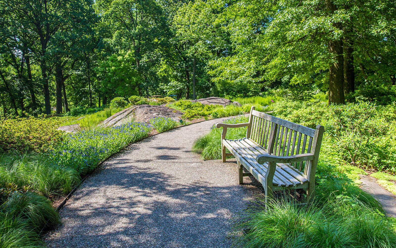 Azalea Garden in full bloom, showcasing vibrant pink and purple flowers in a serene park setting, Japan.
