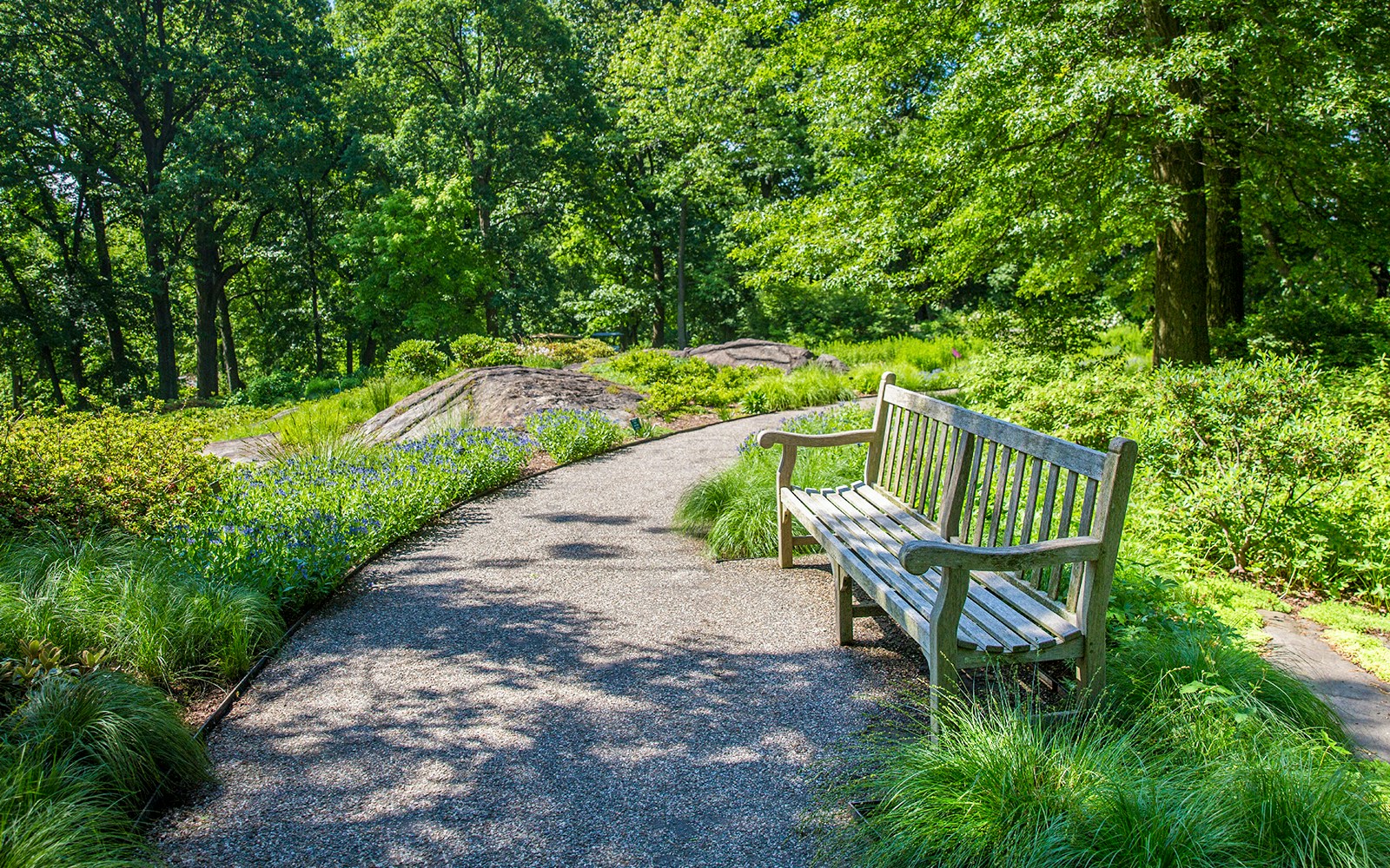 Azalea Garden