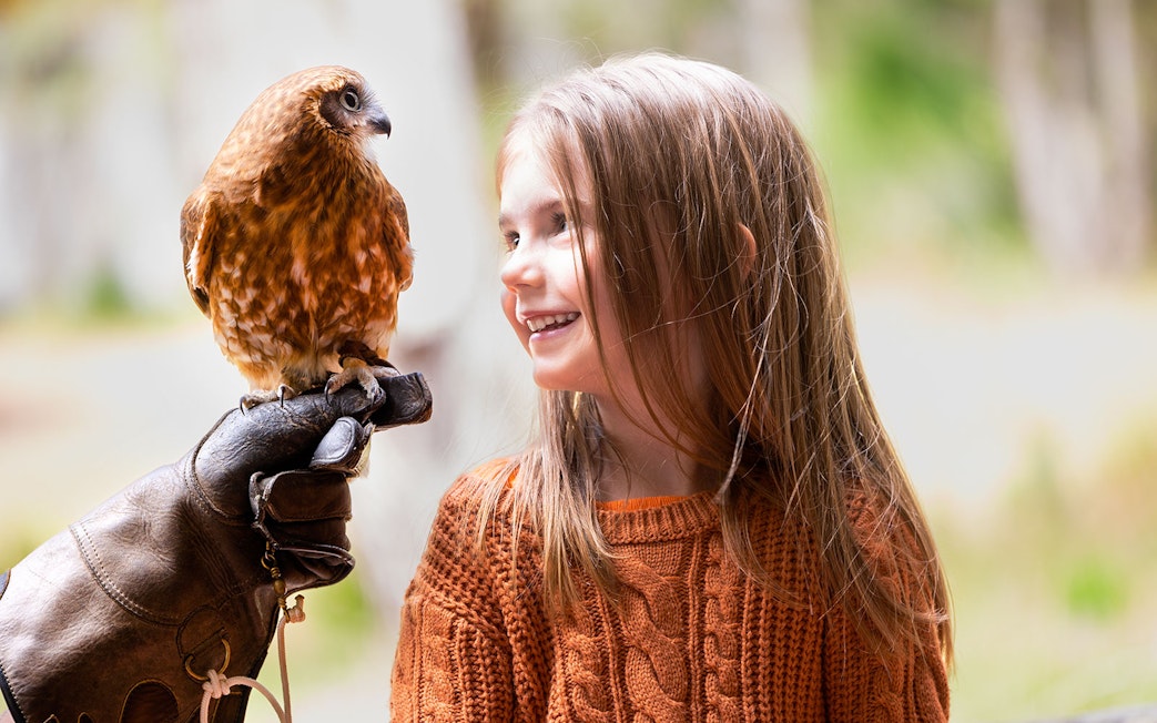 Child smiling at a bird perched on a gloved hand at Capes Raptor Centre.