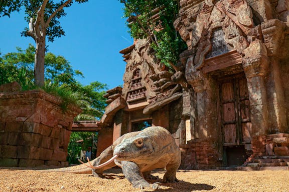 bioparc valencia: entradas sin colas-10