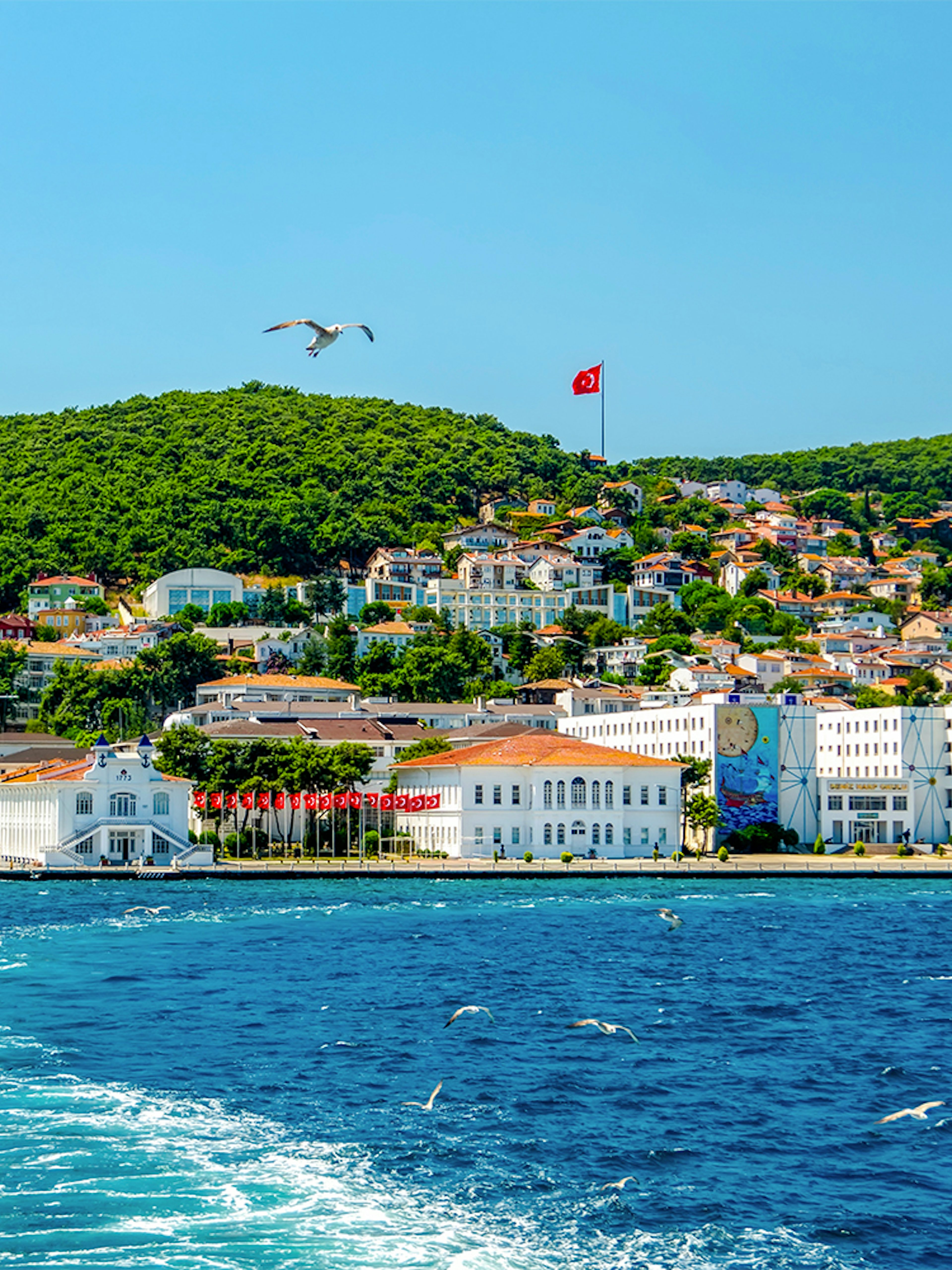 Buyukada Island view from cruise with Turkish flag, Istanbul.