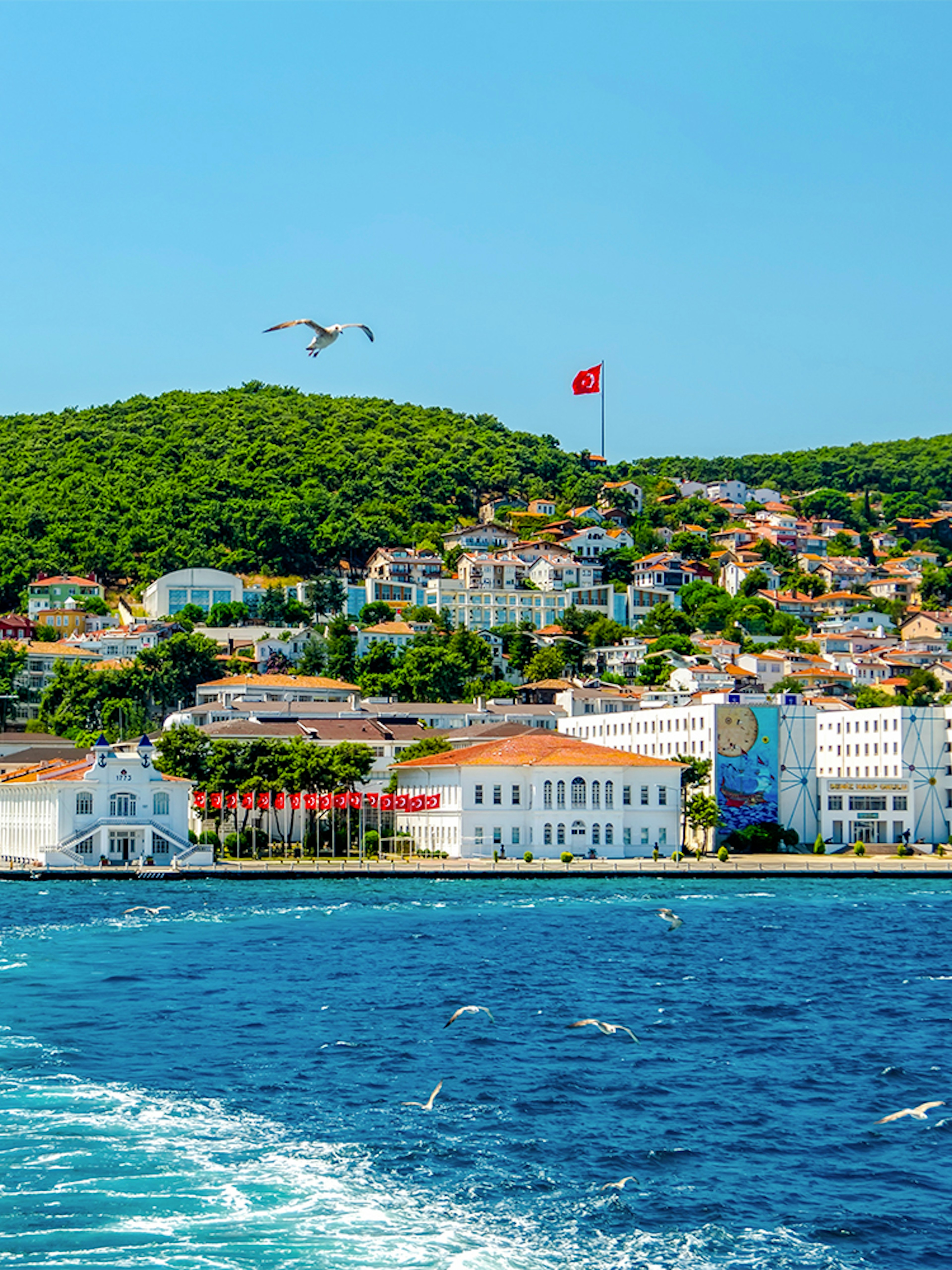 Buyukada Island view from cruise with Turkish flag, Istanbul.